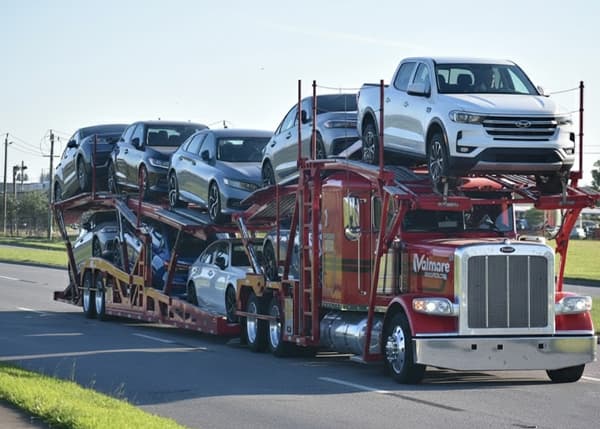 Dealer & Auction Transport